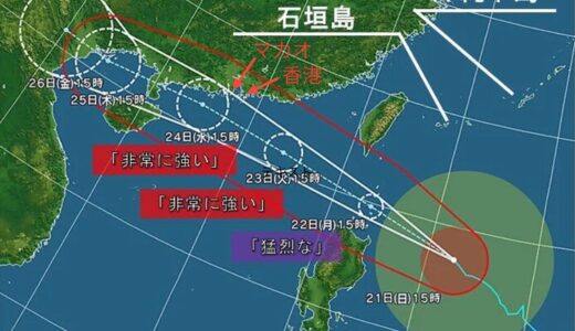 海外旅行でフライトが欠航になったのでクレカ付帯の海外旅行保険を利用してみた〜出国前の準備から帰国後の保険金請求までの流れ